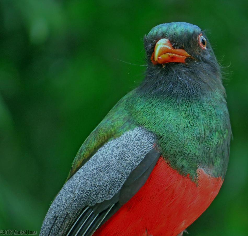 La Selva Biological Station Hotel Sarapiquí Екстериор снимка