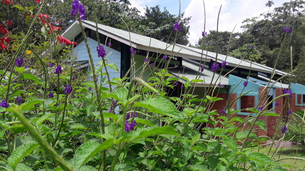 La Selva Biological Station Hotel Sarapiquí Екстериор снимка