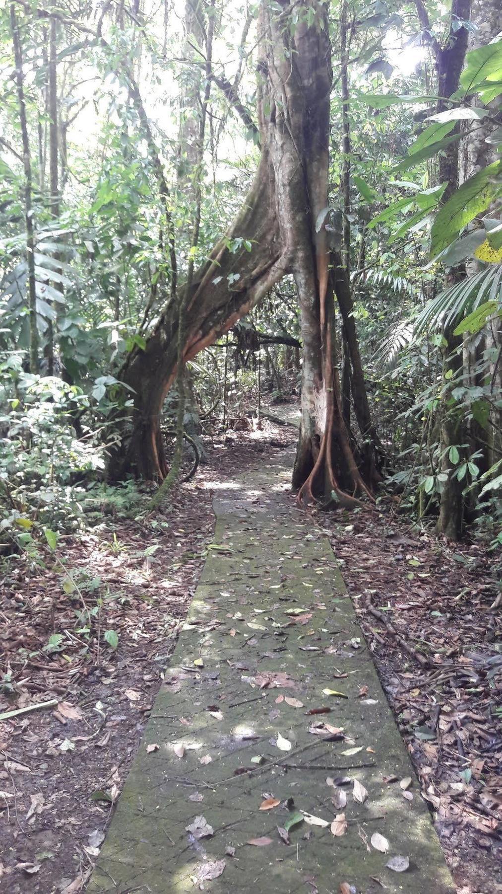 La Selva Biological Station Hotel Sarapiquí Екстериор снимка