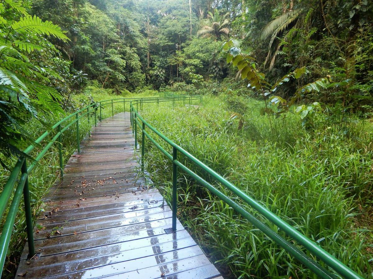 La Selva Biological Station Hotel Sarapiquí Екстериор снимка