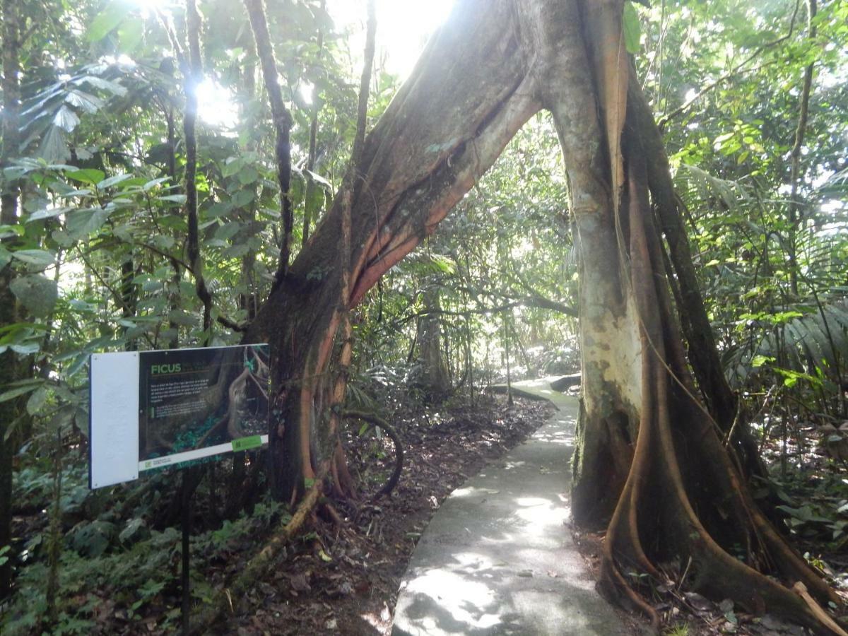 La Selva Biological Station Hotel Sarapiquí Екстериор снимка