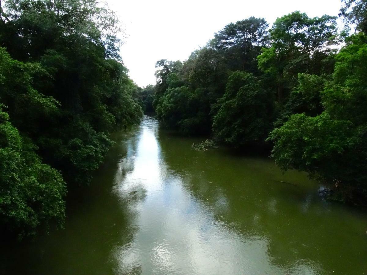 La Selva Biological Station Hotel Sarapiquí Екстериор снимка