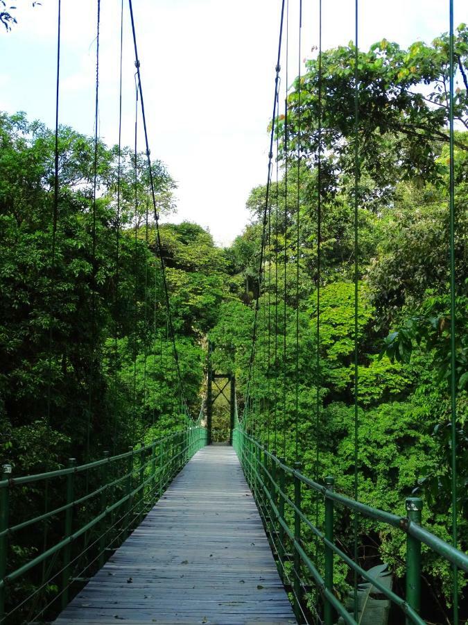 La Selva Biological Station Hotel Sarapiquí Екстериор снимка