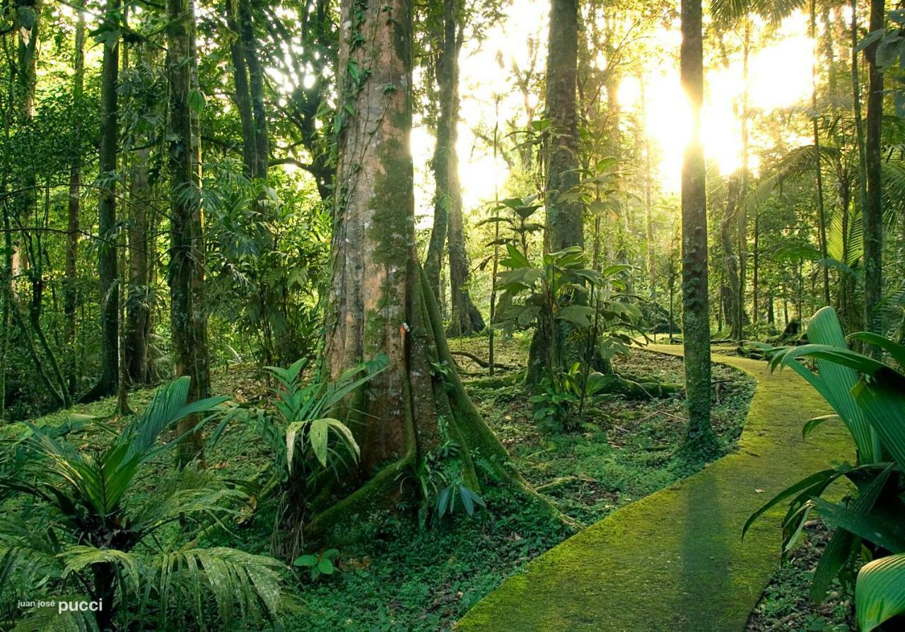 La Selva Biological Station Hotel Sarapiquí Екстериор снимка