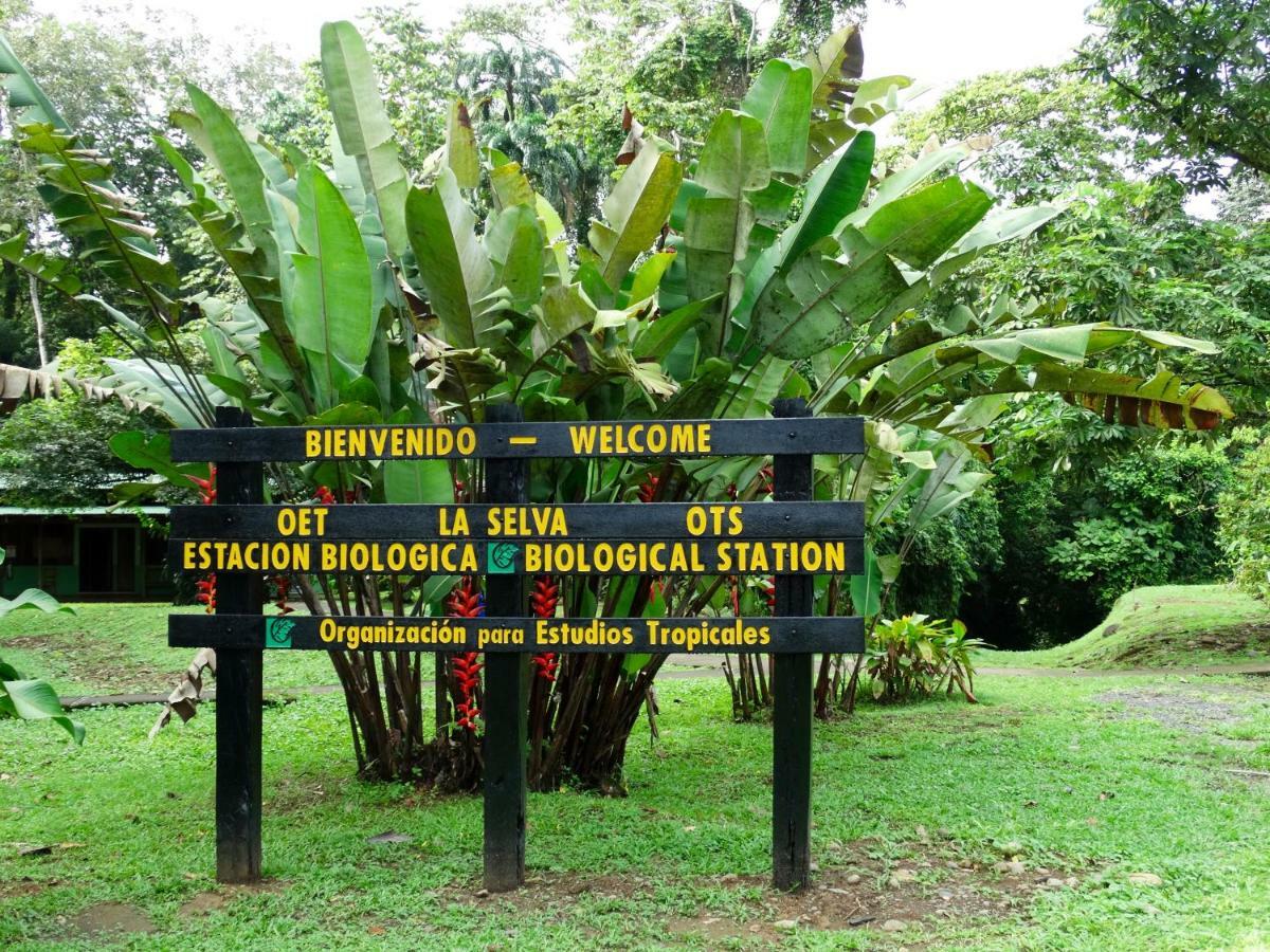 La Selva Biological Station Hotel Sarapiquí Екстериор снимка
