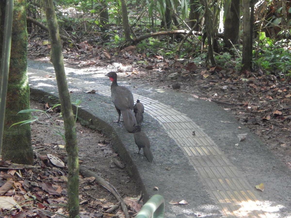 La Selva Biological Station Hotel Sarapiquí Екстериор снимка