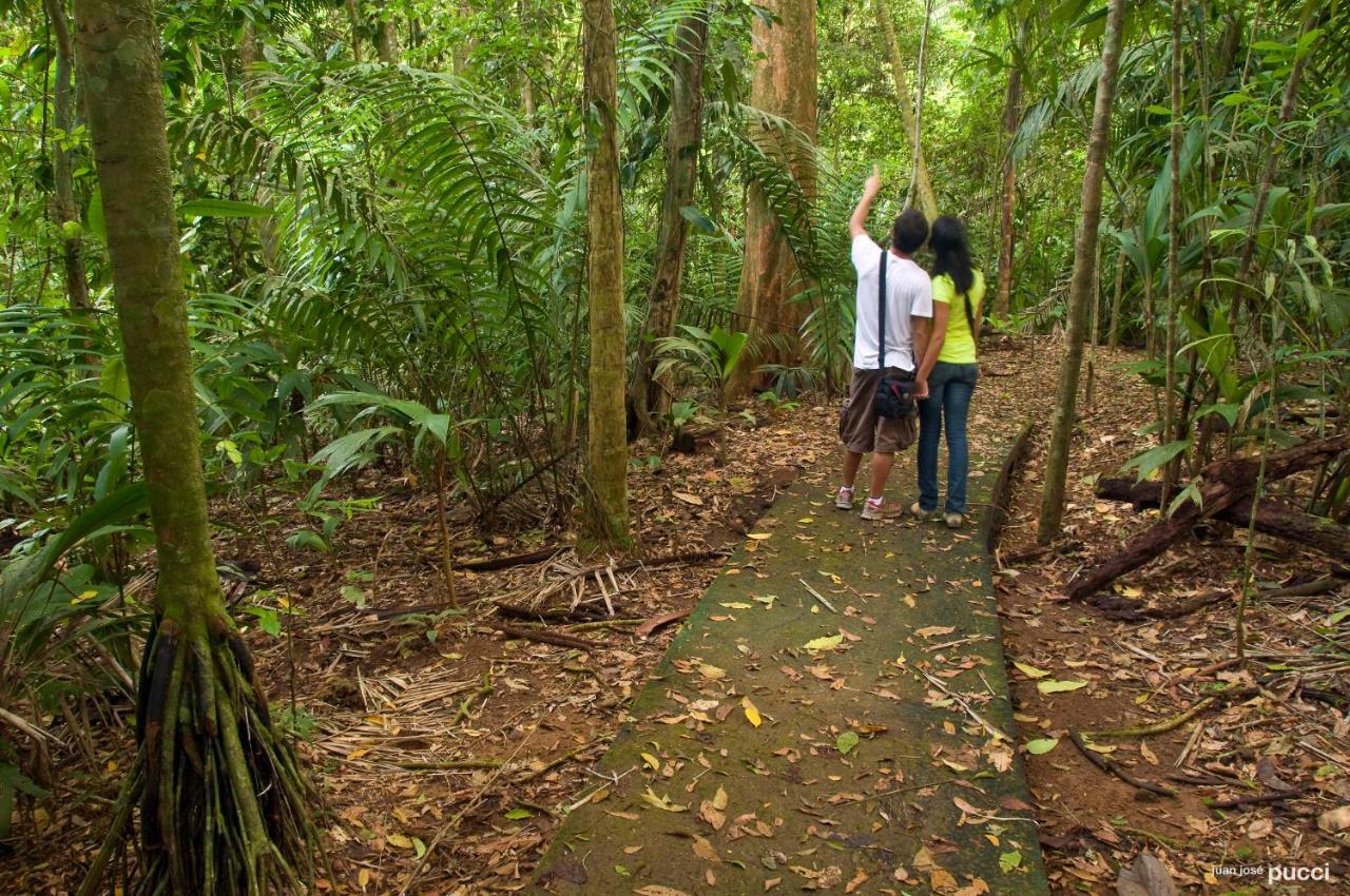 La Selva Biological Station Hotel Sarapiquí Екстериор снимка